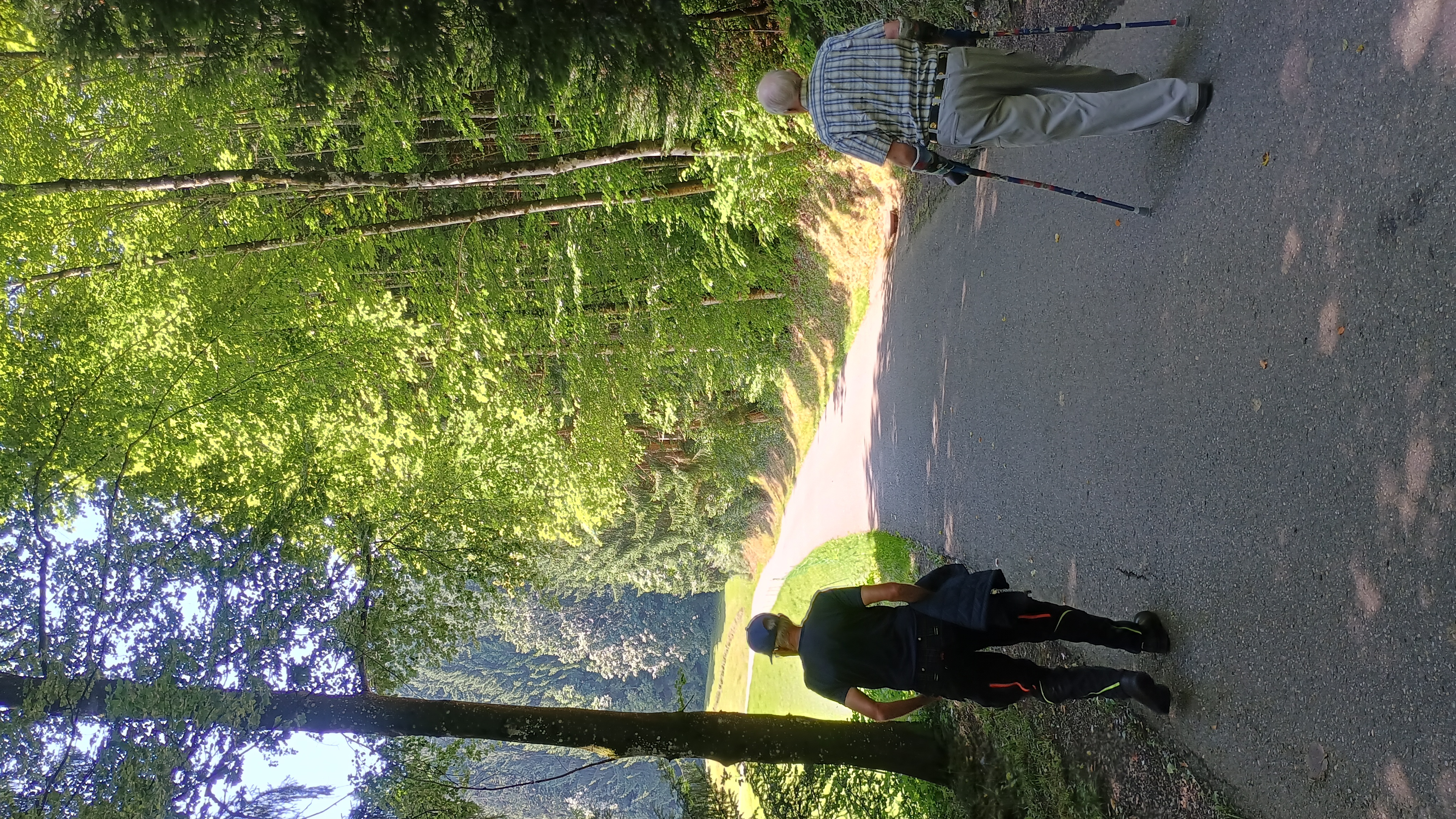 A pleasant walk 